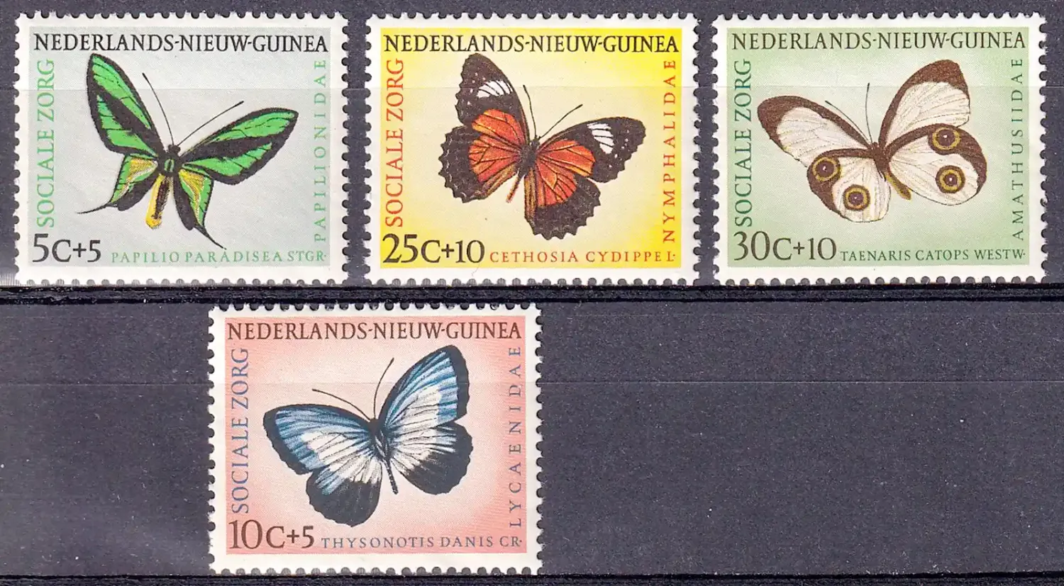 Netherlands (New Guinea) 1960 Insects, butterflies, papillons. Social care  (4v) MNH(**)