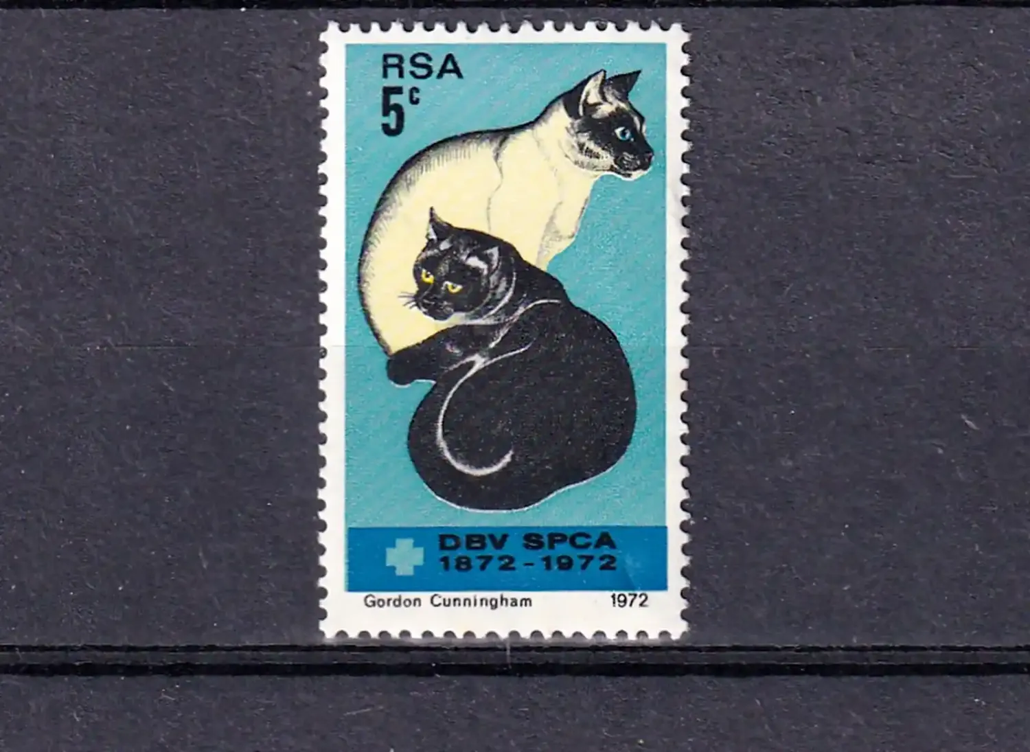 South West Africa 1972 The 100th Anniv of Animal Welfare Association (1v). MNH(**)