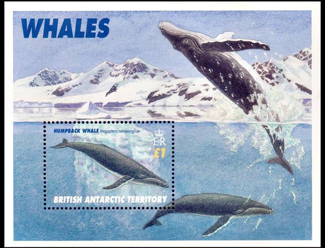 British Antarctic: 1996 Whales (ss/1v). MNH(**)
