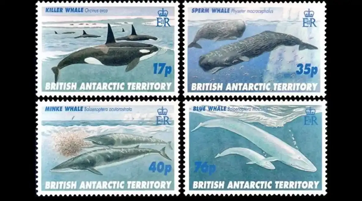 British Antarctic: 1996 Whales. MNH(**) British Antarctic: 1996 Whales. MNH(**)