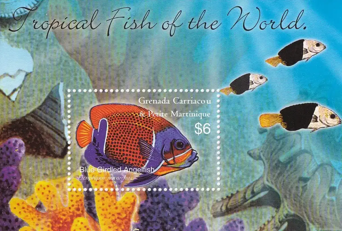 Grenada Grenadines 2003 Tropical Fish (ss/1v). MNH(**) Grenada Grenadines 2003 Tropical Fish (ss/1v). MNH(**)