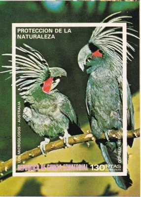 Equatorial Guinea, 1974 Airmail - South American and Australian Birds (ss/1v) (Imperf). MNH(**)