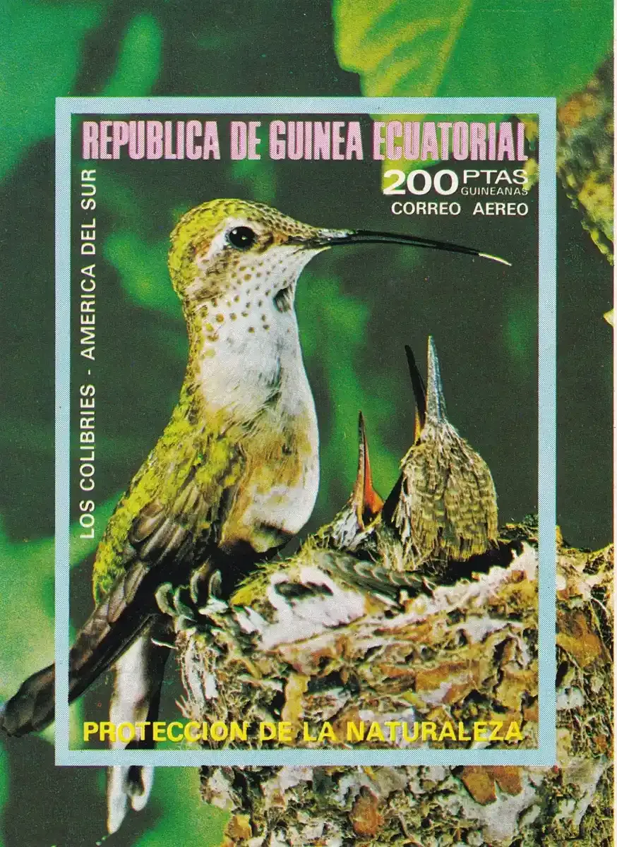 Equatorial Guinea, 1974 Airmail - South American and Australian Birds (ss/1v) (Imperf). MNH(**)