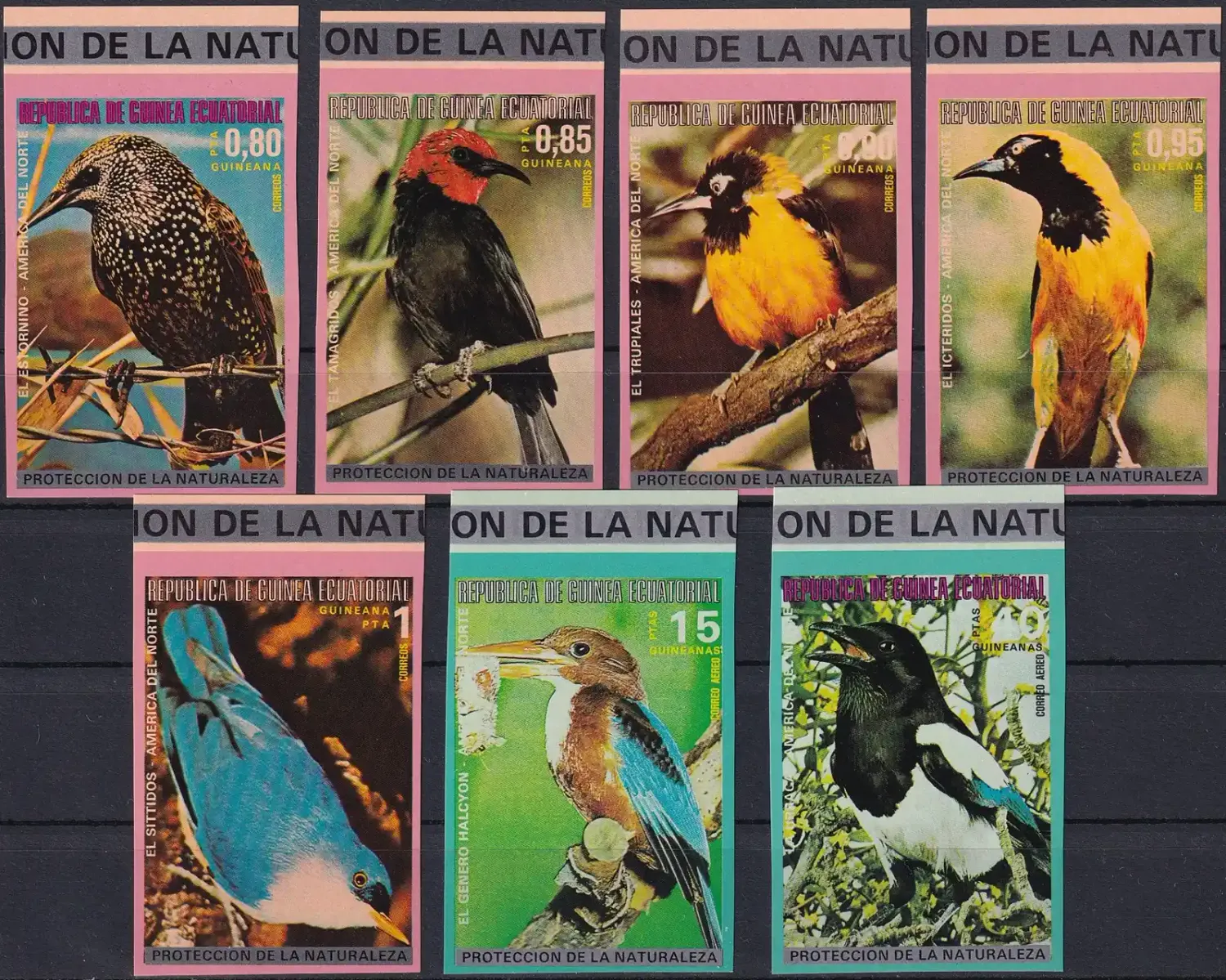 Equatorial Guinea, 1976, North American birds Imperf. MNH