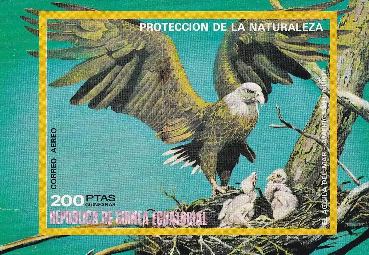Equatorial Guinea, 1976, North American birds (ss/1v) Imperf. MNH Equatorial Guinea, 1976, North American birds (ss/1v) Imperf. MNH