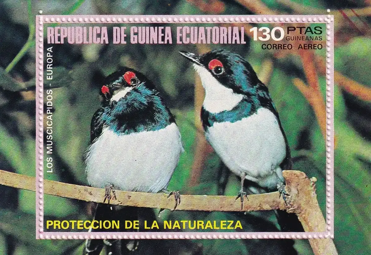 Equatorial Guinea, 1976 European Birds (ss/1v). MNH Equatorial Guinea, 1976 European Birds (ss/1v). MNH