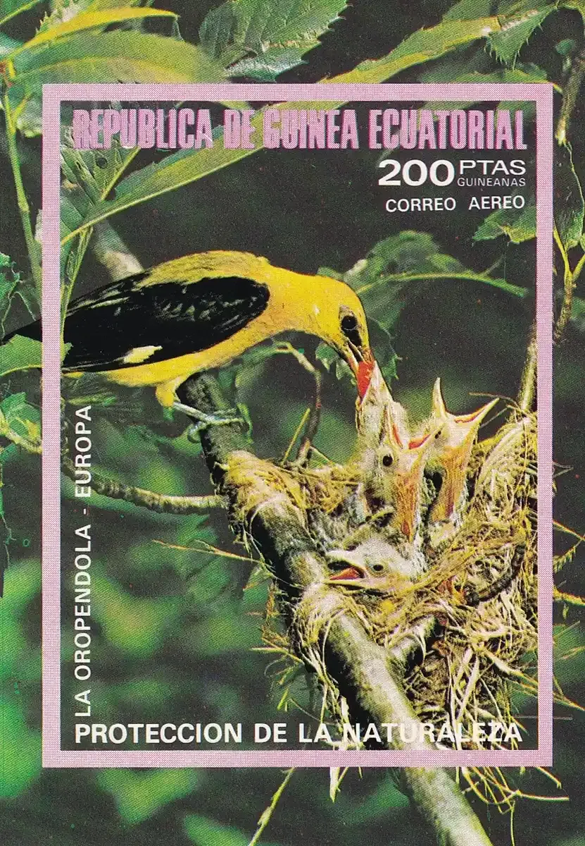 Equatorial Guinea, 1976 European Birds Imperf (ss/1v). MNH Equatorial Guinea, 1976 European Birds Imperf (ss/1v). MNH