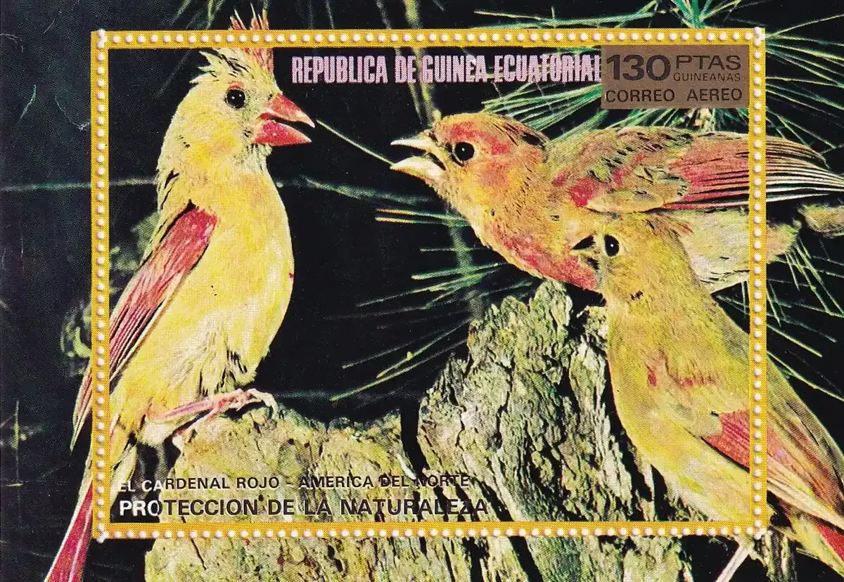 Equatorial Guinea, 1976, North American birds (ss/1v). MNH Equatorial Guinea, 1976, North American birds (ss/1v). MNH