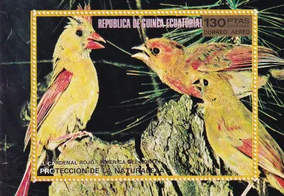 Equatorial Guinea, 1976, North American birds (ss/1v). MNH Equatorial Guinea, 1976, North American birds (ss/1v). MNH