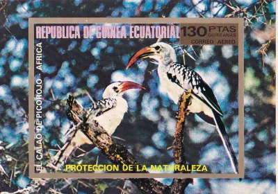 Equatorial Guinea, 1976 African Birds (ss/1v). MNH Equatorial Guinea, 1976 African Birds (ss/1v). MNH