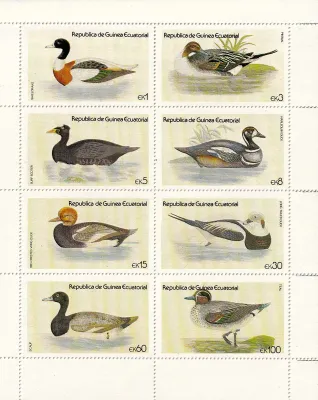 Equatorial Guinea, 1978 Water Birds - Ducks (ss/8v). MNH Equatorial Guinea, 1978 Water Birds - Ducks (ss/8v). MNH