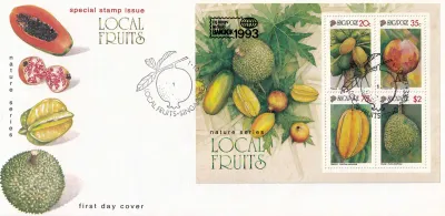 Singapore 1993 Local Fruits. FDC Singapore 1993 Local Fruits. FDC