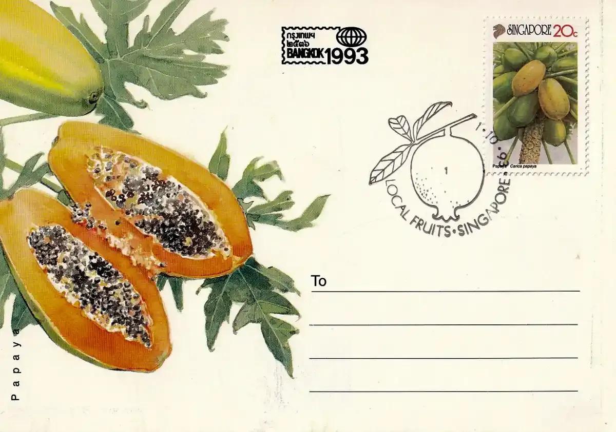 Singapore 1993 Local Fruits Postcard