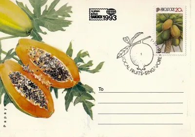 Singapore 1993 Local Fruits Postcard Singapore 1993 Local Fruits Postcard