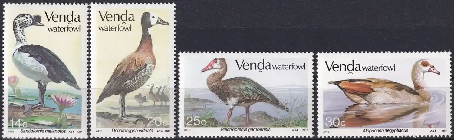 Venda 1987 Birds, Waterfowl (4v). MNH(**) Venda 1987 Birds, Waterfowl (4v). MNH(**)