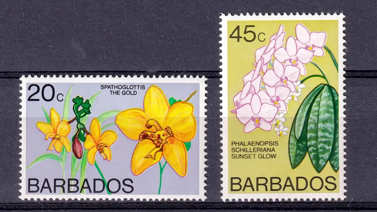 Barbados 1977 Orchids, Flowers (2v). MNH(**) Barbados 1977 Orchids, Flowers (2v). MNH(**)