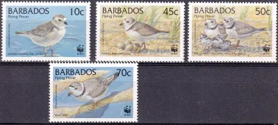 Barbados 1999 World Wildlife Fund (WWF). Piping Plover Birds (4v). MNH(**)
