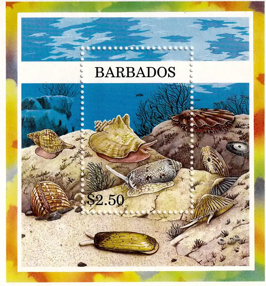 Barbados 1995 Shells (ss/1v). MNH(**) Barbados 1995 Shells (ss/1v). MNH(**)
