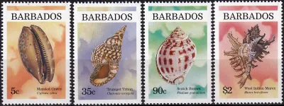 Barbados 1995 Shells (4v). MNH(**) Barbados 1995 Shells (4v). MNH(**)