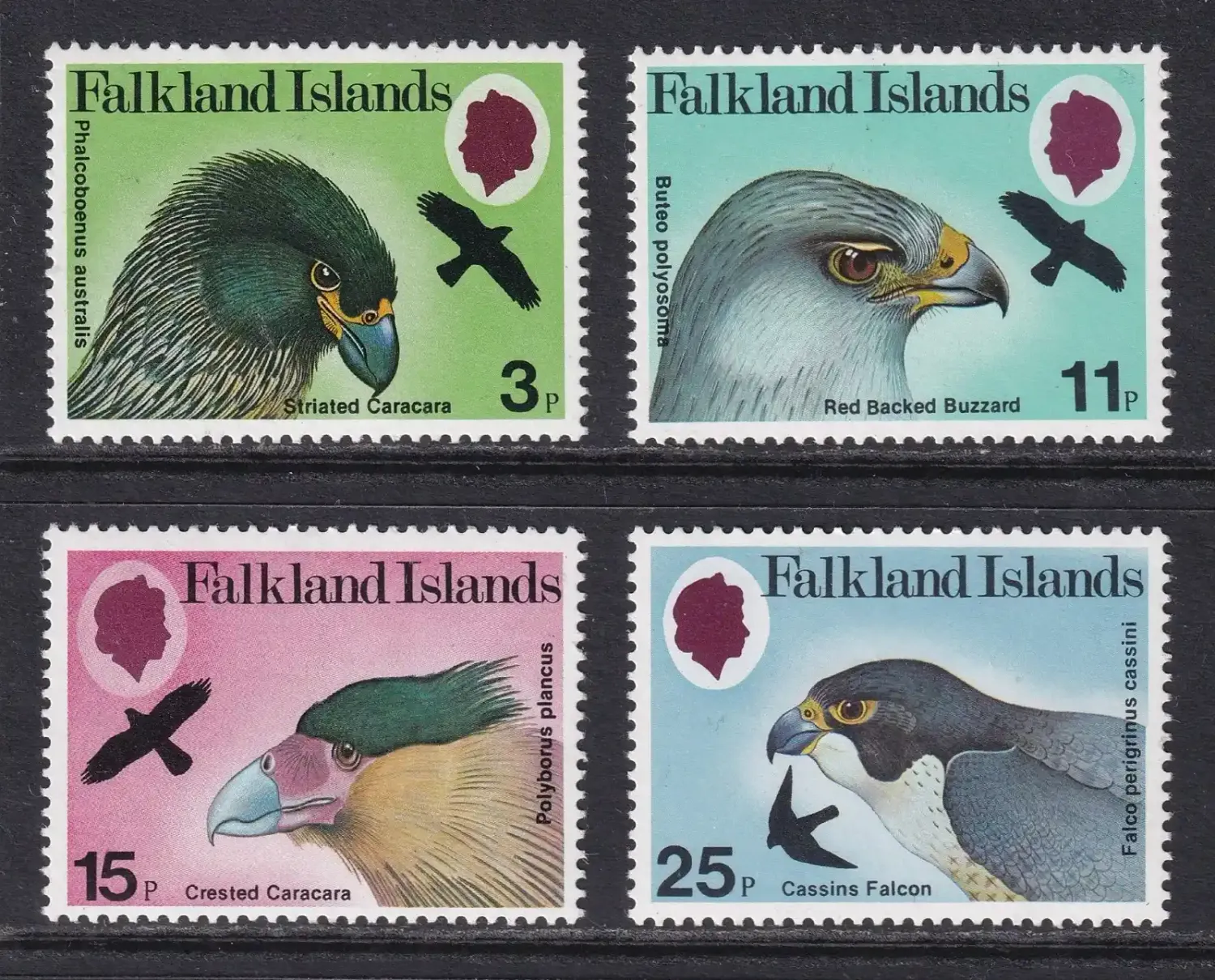 Falkland Islands 1980 Birds of Prey (4v). MNH(**) Falkland Islands 1980 Birds of Prey (4v). MNH(**)