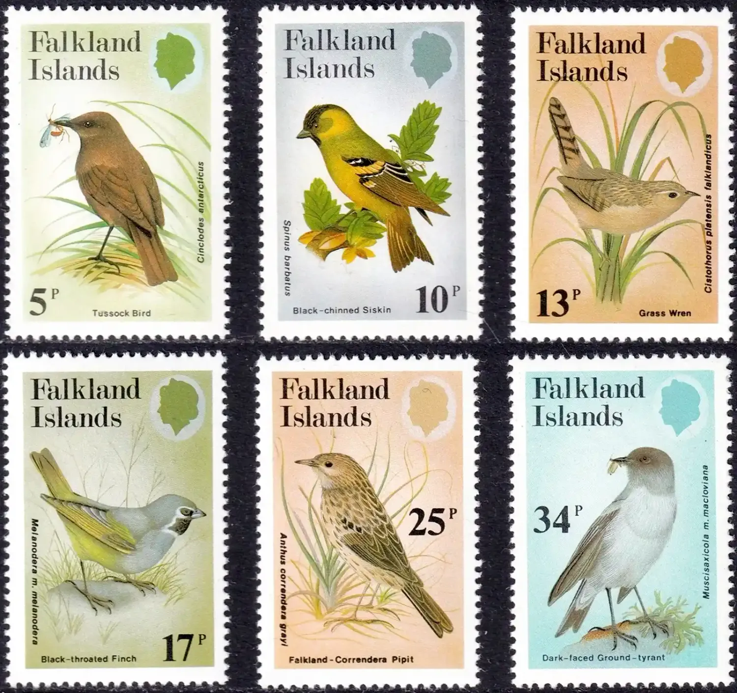 Falkland Islands 1982 Birds of the Passerine Family (6v). MNH(**) Falkland Islands 1982 Birds of the Passerine Family (6v). MNH(**)