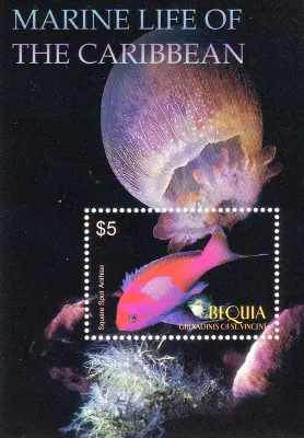 Bequia 2005 Marine Life of the Caribbean (ss/1v). MNH(**) Bequia 2005 Marine Life of the Caribbean (ss/1v). MNH(**)