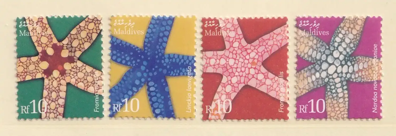 Maldives 2004 Star Fish (4v). MNH(**) Maldives 2004 Star Fish (4v). MNH(**)