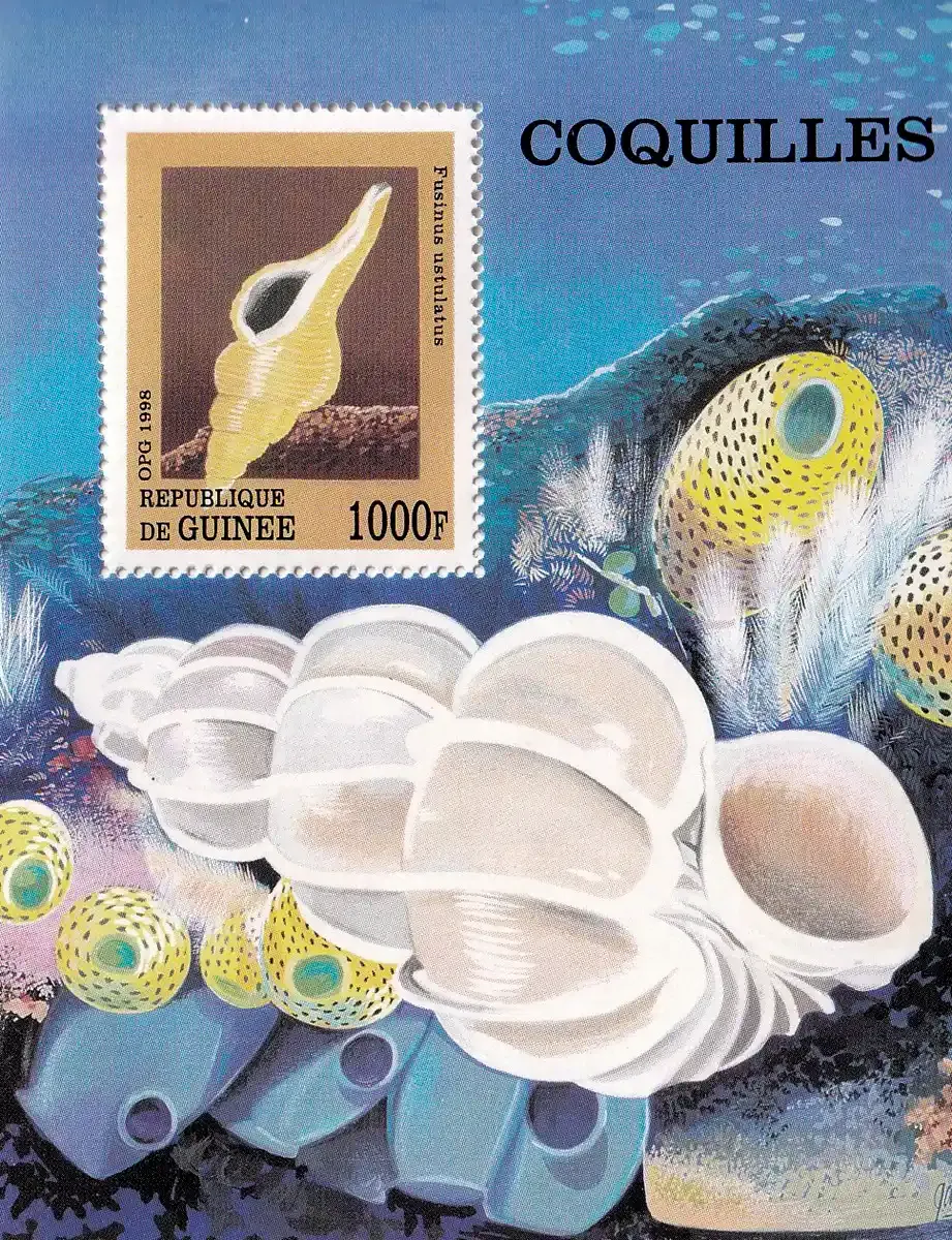 Guinea 1998 Marine Snail Shells (ss/1v). MNH(**) Guinea 1998 Marine Snail Shells (ss/1v). MNH(**)