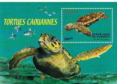 Djibouti 2000 Marine Life, Turtles. MNH (**) Djibouti 2000 Marine Life, Turtles. MNH (**)