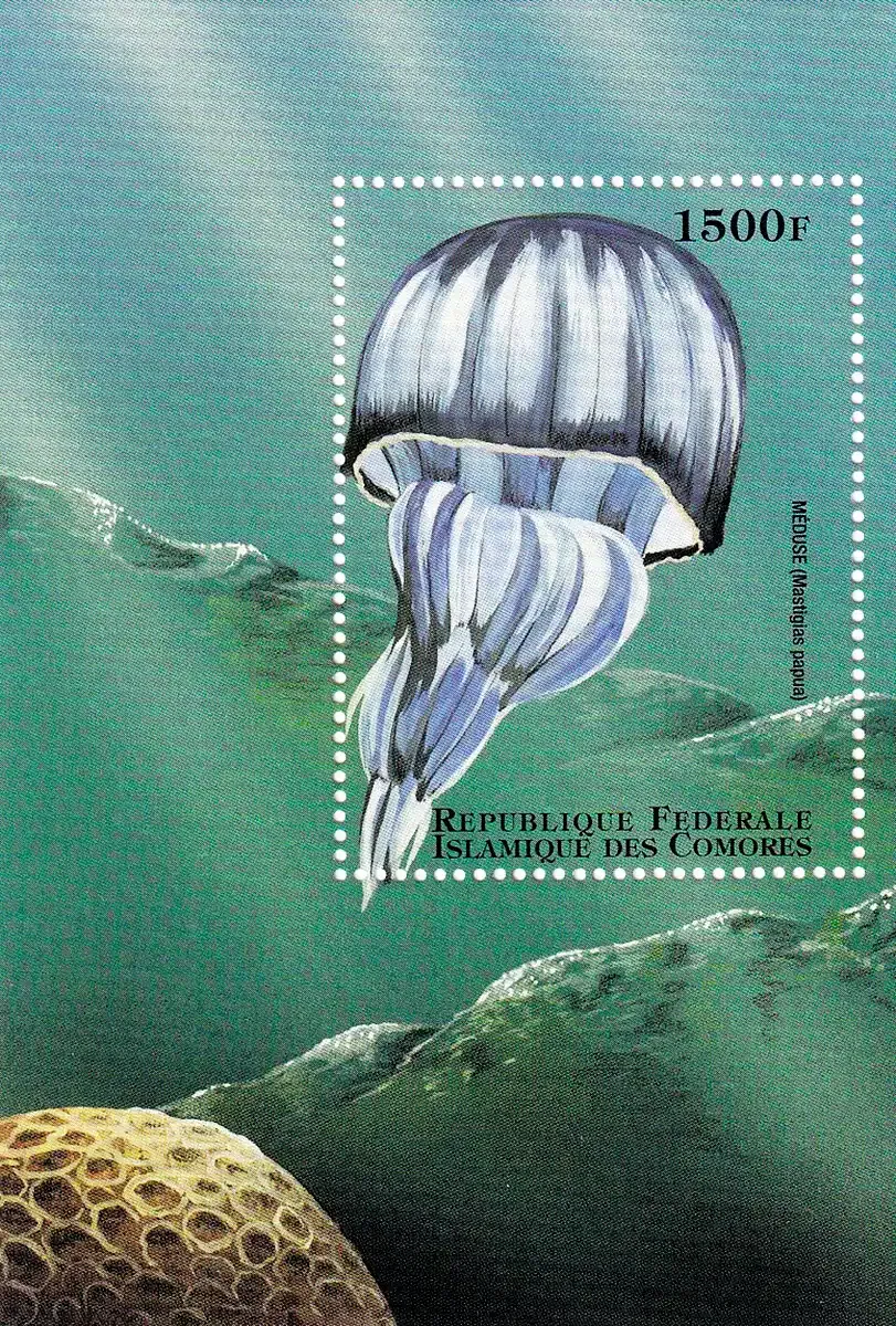 Comoro Islands 1998 Marine Life, Jellyfish. (SS/1v) MNH(**) Comoro Islands 1998 Marine Life, Jellyfish. (SS/1v) MNH(**)