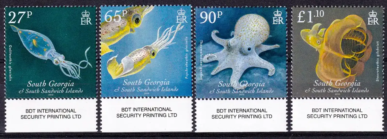 South Georgia Island 2010 Cephalopods, Mollusks (4v). MNH(**) South Georgia Island 2010 Cephalopods, Mollusks (4v). MNH(**)