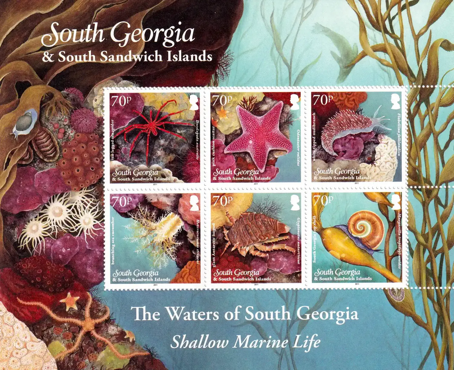 South Georgia Island 2012 Shallow Marine Life (ss/6v). MNH(**) South Georgia Island 2012 Shallow Marine Life (ss/6v). MNH(**)