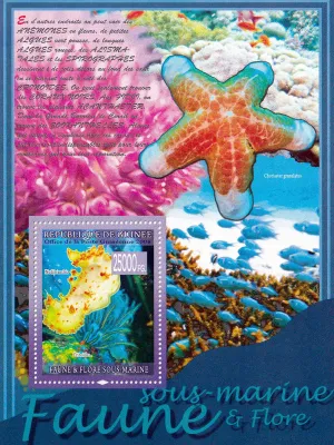 Guinea 2008 Fauna - Marine Life, Seahorses & Starfish (ss/6v). MNH(**) Guinea 2008 Fauna - Marine Life, Seahorses & Starfish (ss/6v). MNH(**)
