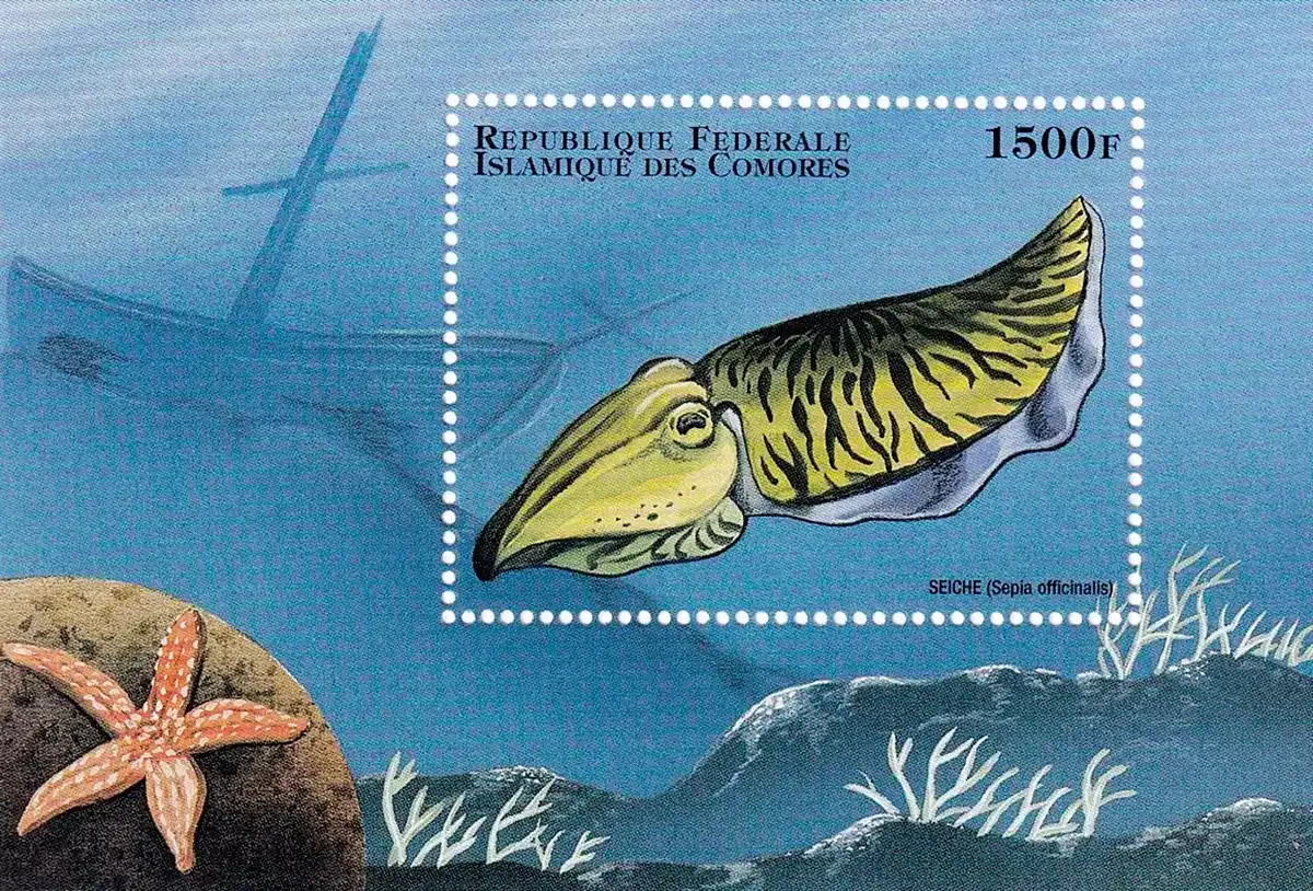 Comoro Islands 1998 Marine Life, Squids. (SS/1v) MNH(**) Comoro Islands 1998 Marine Life, Squids. (SS/1v) MNH(**)