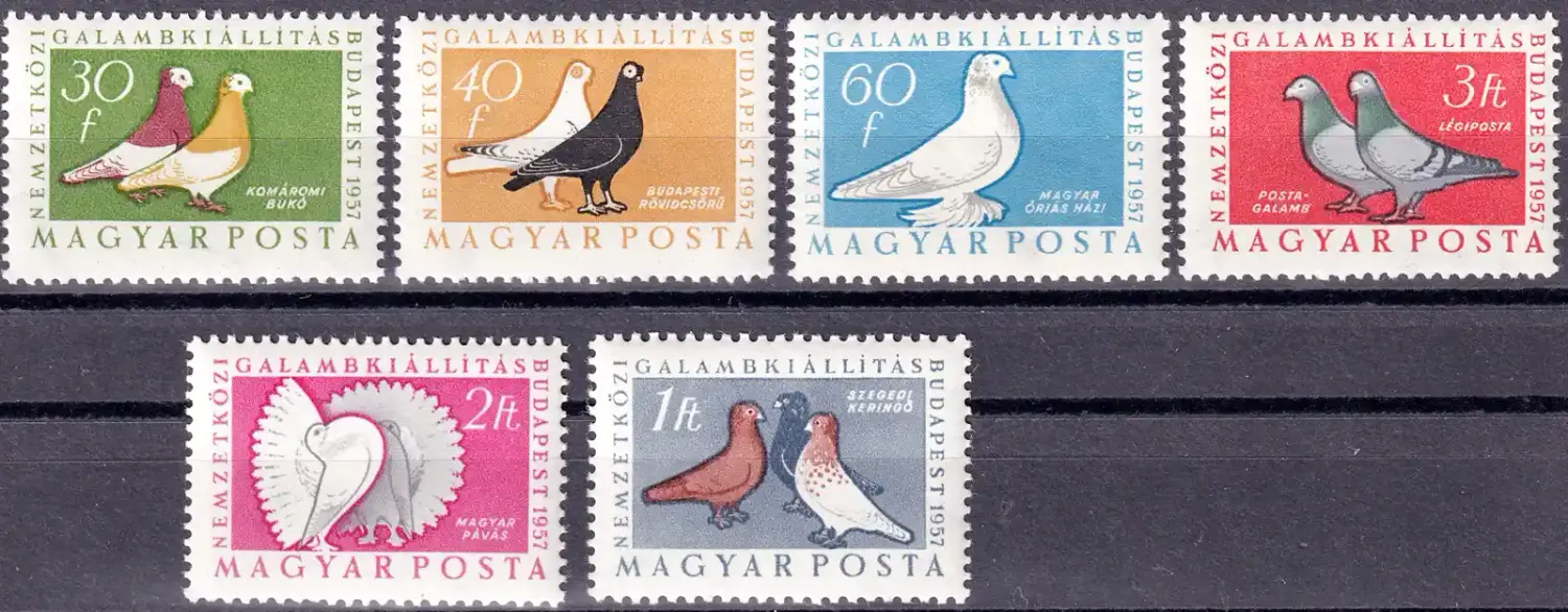 Hungary 1957 Birds - International Pigeon Exhibition, Budapest (6v). MNH(**) Hungary 1957 Birds - International Pigeon Exhibition, Budapest (6v). MNH(**)