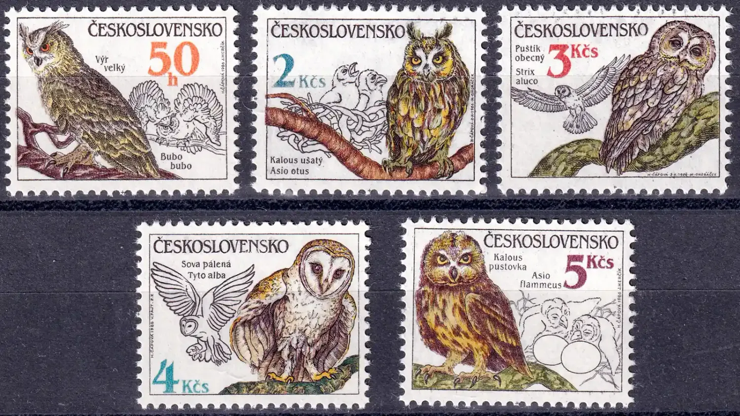 Czechoslovakia 1986 Owls (5v). MNH(**) Czechoslovakia 1986 Owls (5v). MNH(**)
