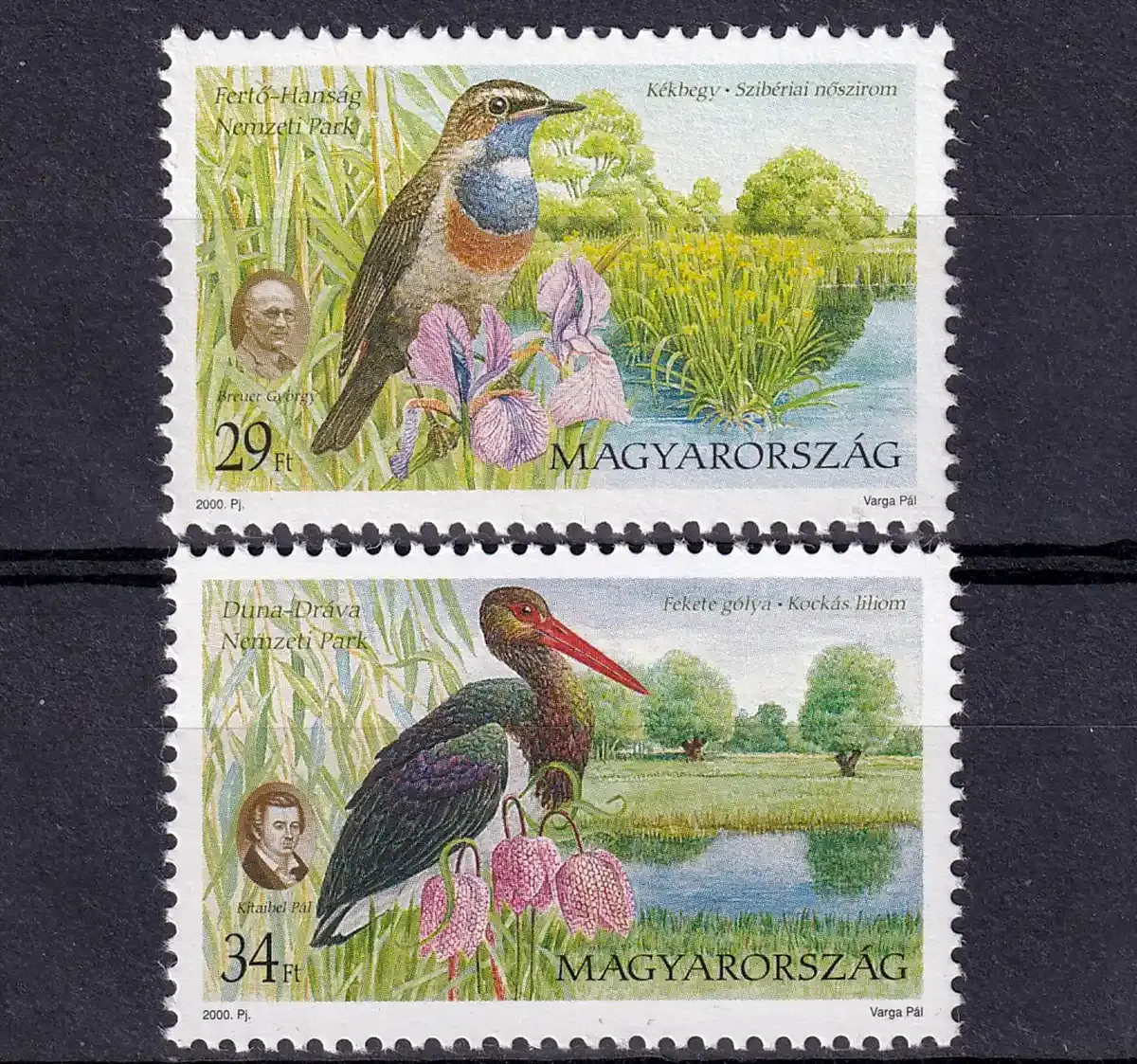 Hungary 2000 Birds - National Parks (2v). MNH(**) Hungary 2000 Birds - National Parks (2v). MNH(**)