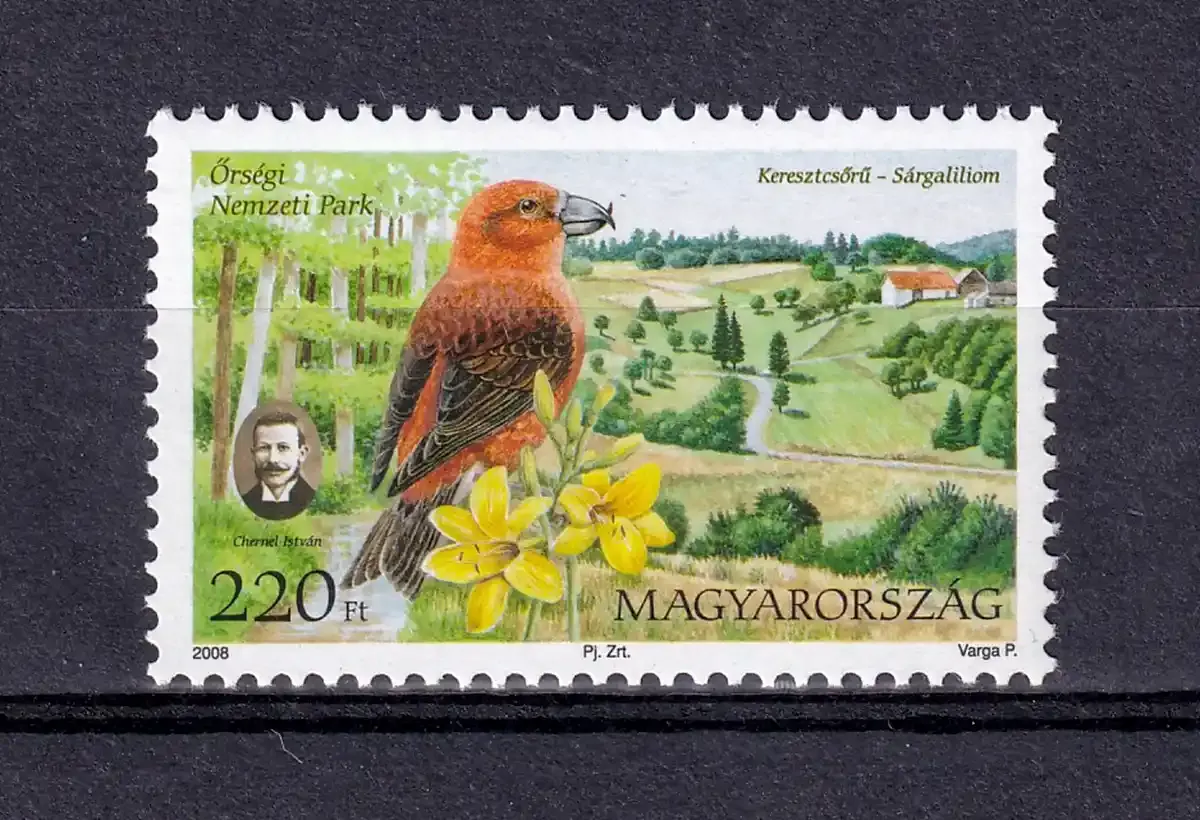 Hungary 2008 Birds - Orseg National Park (1v). MNH(**) Hungary 2008 Birds - Orseg National Park (1v). MNH(**)