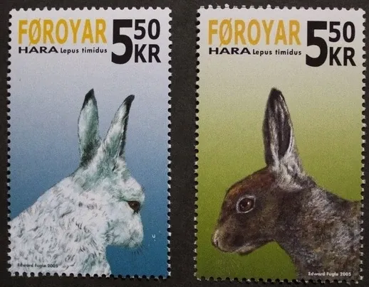 Faroe Islands 2005 Lepus Timidus, Mountain Hare (2v). MNH(**) Faroe Islands 2005 Lepus Timidus, Mountain Hare (2v). MNH(**)
