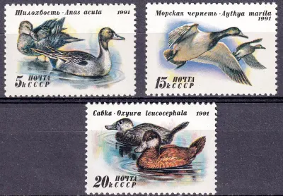 USSR 1991 Ducks. MNH(**) USSR 1991 Ducks. MNH(**)