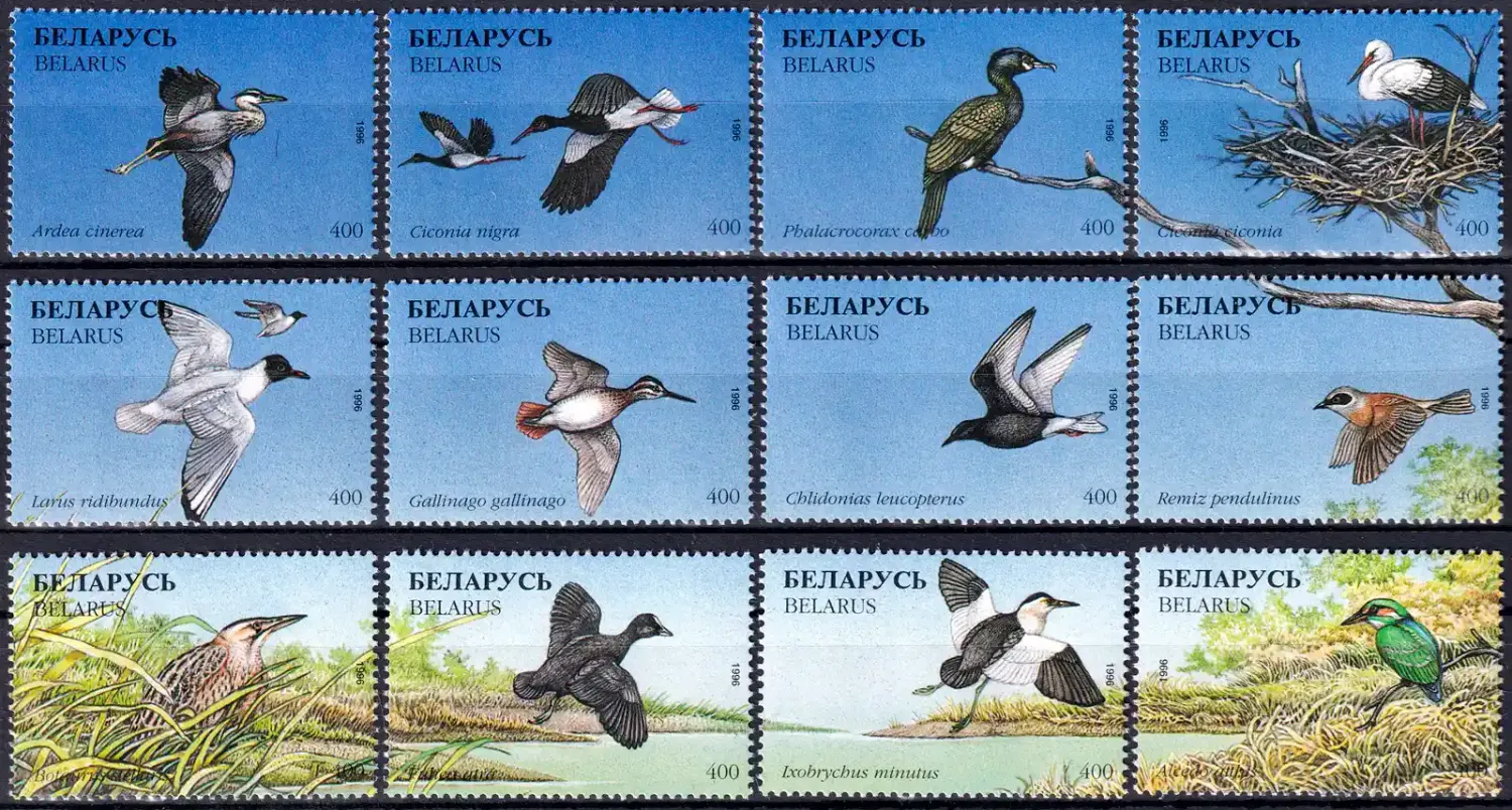 Belarus 1996 Birds. (12v)-MNH(**) Belarus 1996 Birds. (12v)-MNH(**)