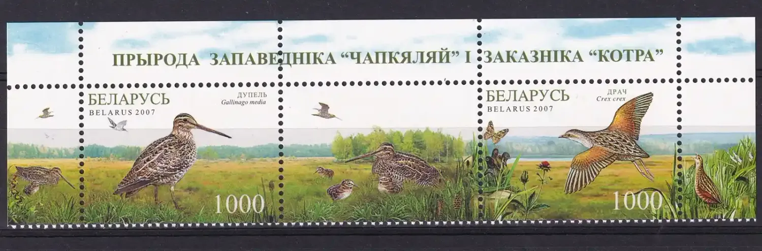 Belarus 2007. Nature of the Sanctuaries of Chepkeliai and Kotra - Birds. (tab/2v)-MNH(**) Belarus 2007. Nature of the Sanctuaries of Chepkeliai and Kotra - Birds. (tab/2v)-MNH(**)