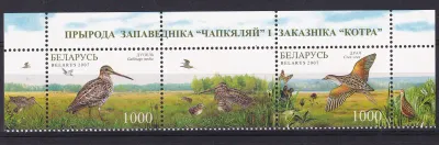 Belarus 2007. Nature of the Sanctuaries of Chepkeliai and Kotra - Birds. (tab/2v)-MNH(**) Belarus 2007. Nature of the Sanctuaries of Chepkeliai and Kotra - Birds. (tab/2v)-MNH(**)
