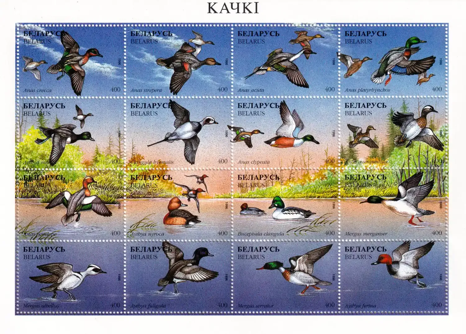 Belarus 1996 Birds. (ss/16v)-MNH(**) Belarus 1996 Birds. (ss/16v)-MNH(**)