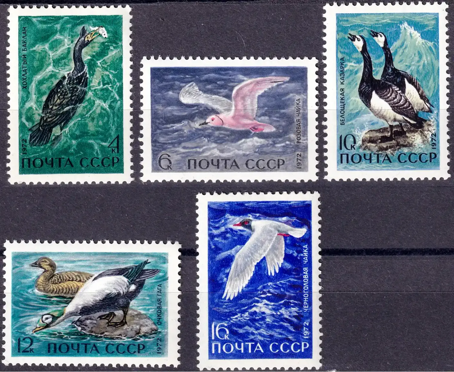 USSR 1972 Marine Birds. MNH(**) USSR 1972 Marine Birds. MNH(**)