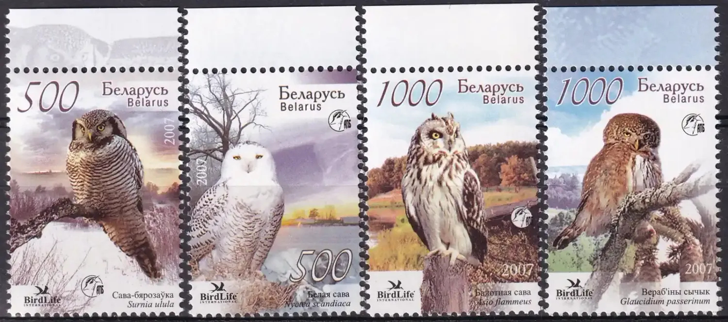 Belarus 2007 Owls of Belarus. Birds. (4v)-MNH(**) Belarus 2007 Owls of Belarus. Birds. (4v)-MNH(**)
