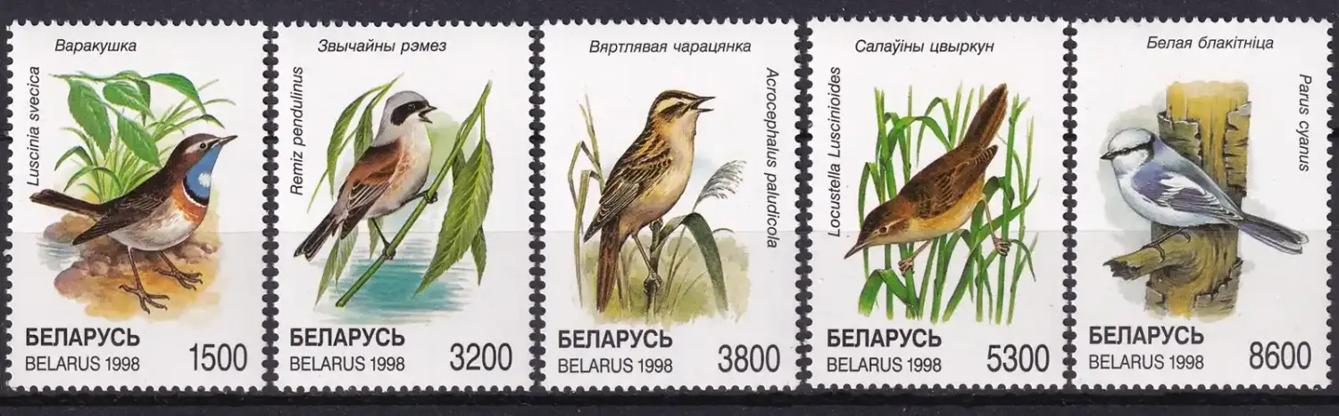 Belarus 1998 Birds of Belarus. (5v)-MNH(**)
