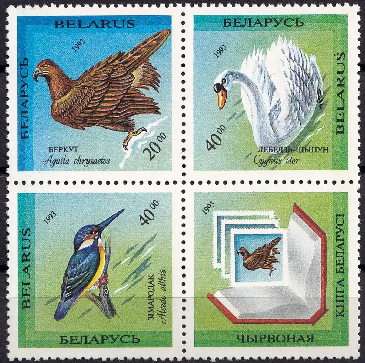 Belarus 1994 Rare Birds of Belarus. (3v)-MNH(**) Belarus 1994 Rare Birds of Belarus. (3v)-MNH(**)