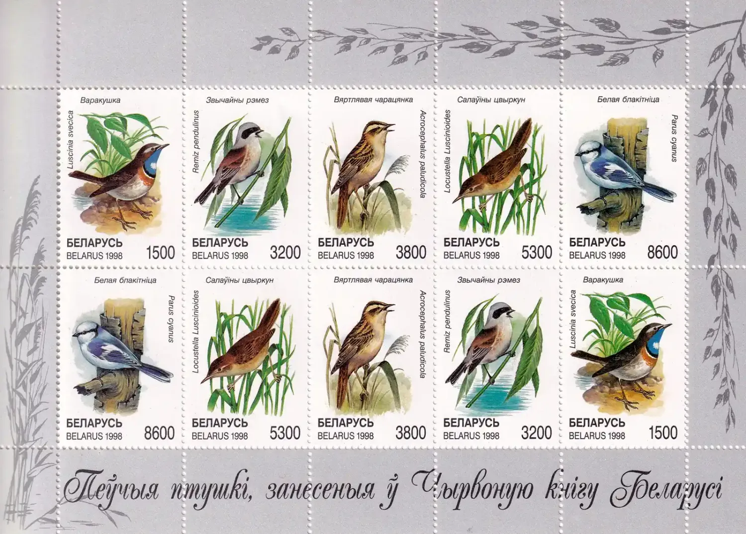 Belarus 1998 Birds of Belarus. (ss/10v)-MNH(**)