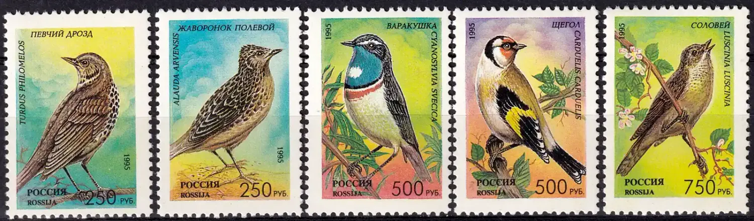 Russia 1995. Birds, Songbirds. (5v)-MNH(**) Russia 1995. Birds, Songbirds. (5v)-MNH(**)